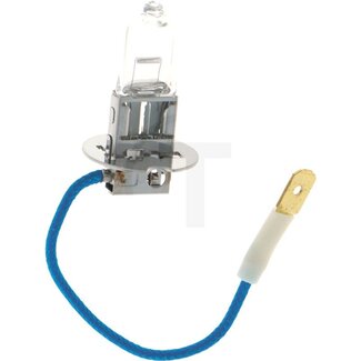 Philips Halogeenlamp H3 12 V, 55 W, PK22s