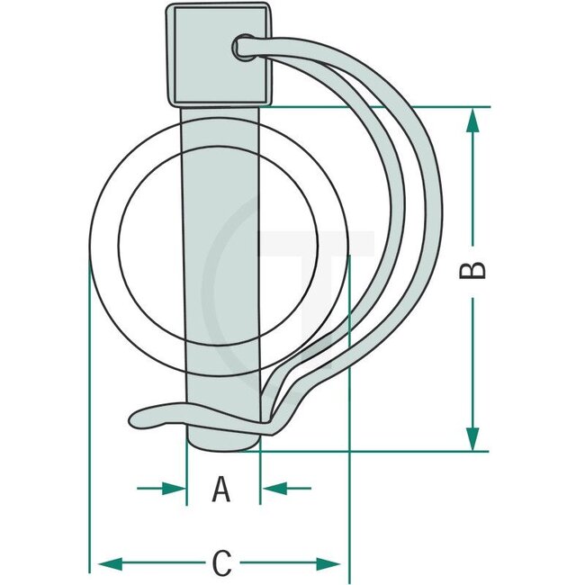Buisborgpen 6 x 36 mm verzinkt