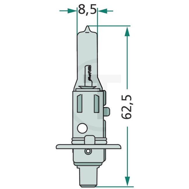 GRANIT Halogenlampe H1 12V / 55W - Spannung: 12 V, Leistung: 55 Watt, Sockel: P14,5s - 41320GRNC1