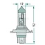 GRANIT Halogen bulb H4 12V / 60/55W - Voltage: 12 V, Power: 60 / 55 watts, Socket: P43t - 41881GRNC1