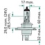 Philips Halogenlampe H4 12V / 60/55W - Spannung: 12 V, Leistung: 60 / 55 Watt, Sockel: P43t-38 - 12342LLECOC1