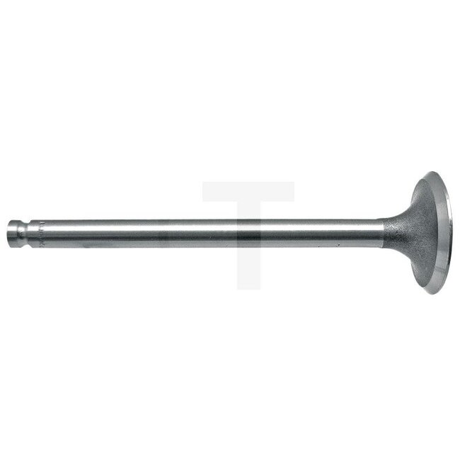 Exhaust valve A 3.144, A 3.152 engine
