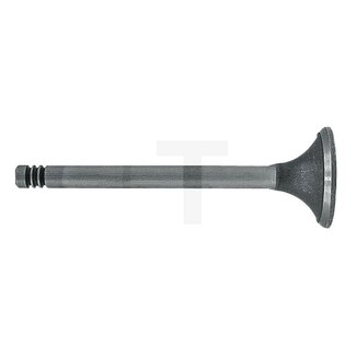 Inlet valve D325 engine