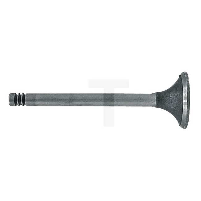 Inlet valve D325 engine
