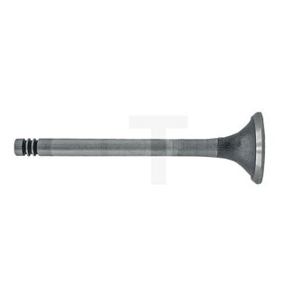 Exhaust valve D325 engine