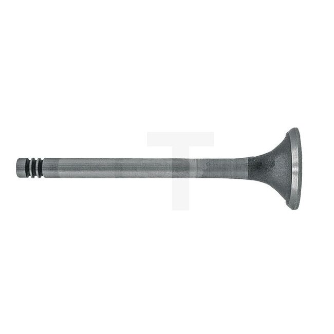Exhaust valve D325 engine