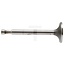 GRANIT Auslassventil Steyr T 80 - T 280