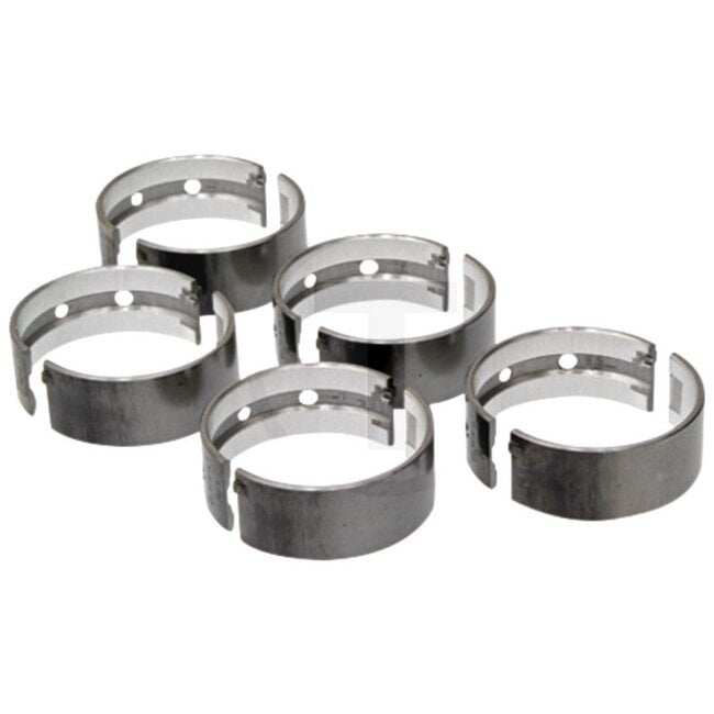 GRANIT Main bearing set standard Steyr T190, T288, T290 - FEL15416109