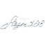GRANIT Emblem Steyr 188 Chrom Steyr T 188