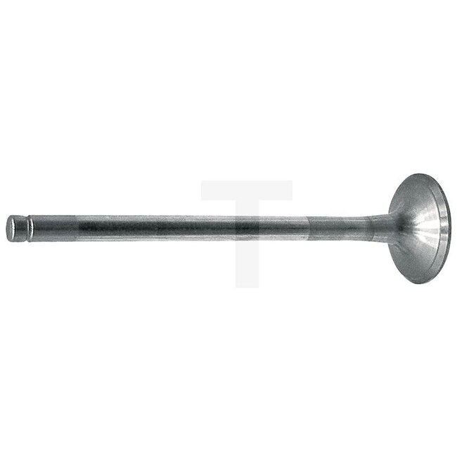 GRANIT Inlet valve with annular groove FL514 engine