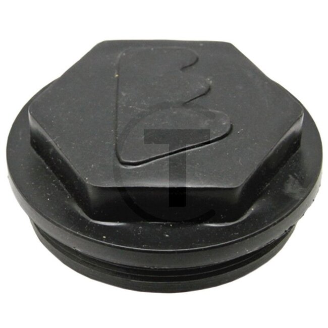 GRANIT Hub cap Eicher - 1620234M1