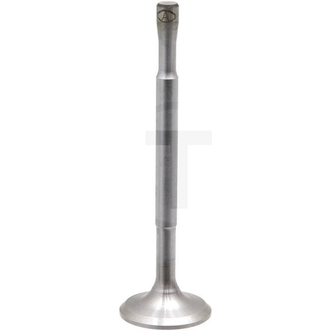 GRANIT Inlet/exhaust valve 2BN engine