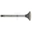 GRANIT Soupape d'admission - 15406632