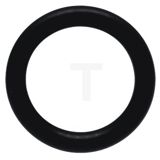 GRANIT O-ring olieaanzuiging Fendt