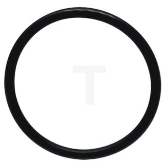 O-Ring Förderpumpe Fendt