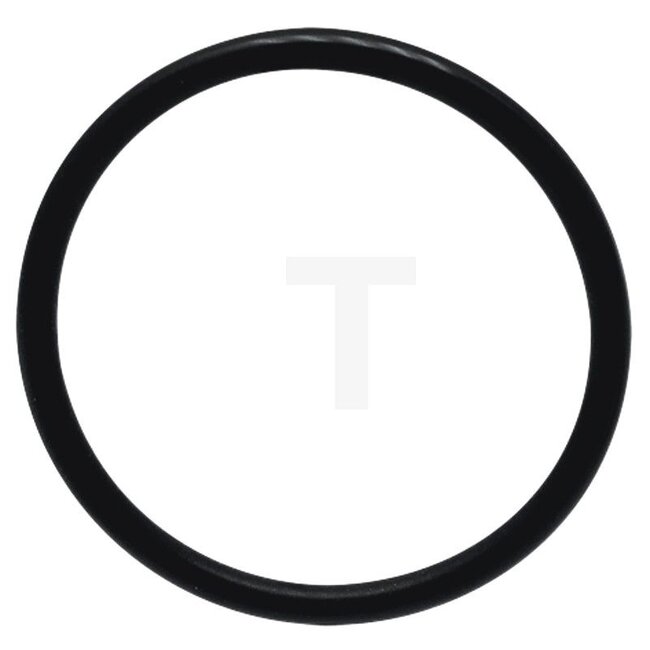GRANIT O-ring opvoerpomp Fendt - 15406640