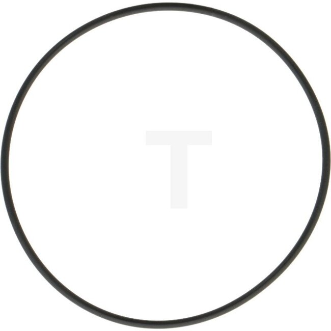 GRANIT O-ring for end plate Rear Fendt F15 - F24, FL 216, FW216, FL237, FW237 - X557168666000