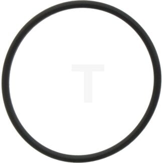 O-Ring Hubwelle Güldner G25 - G60