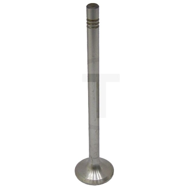 GRANIT Exhaust valve D14, D21, D28 engine