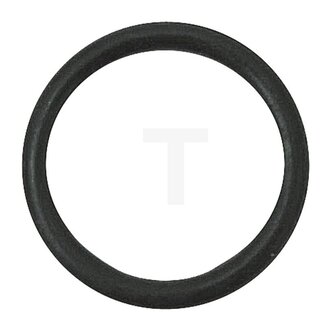 Dichtring Ölfilter Hanomag Robust 800