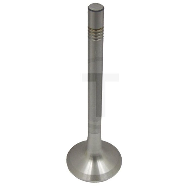 GRANIT Einlassventil D962 Motor