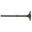 GRANIT Einlassventil Ventilsitzring 35° Massey Ferguson AD 3.152 | 739060M1, 31431681M1