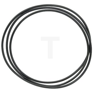 Dichtring Differentialgehäuse Massey Ferguson MF155 - MF188