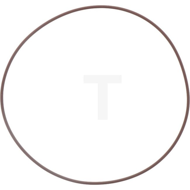 GRANIT O-Ring Schwungrad McCORMICK en IHC - 3228526R2