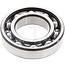 CASE IH Bearing 45 x 85 x 16 McCORMICK en IHC