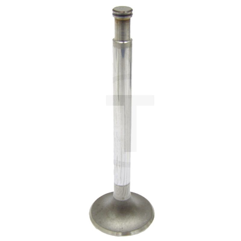 Inlet valve MWMmotoren KD 12 Techniek Totaal Techniek Totaal