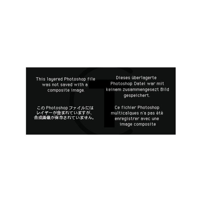 GRANIT Nabendeckel Porsche Diesel 218, AP18, AP22, 218