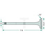 GRANIT Auslassventil Ventilsitzring 35° Motor AD 3.152 Massey Ferguson | 36375298M1, 747581M1, 31431011, 31431761