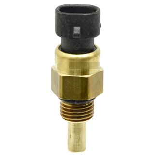 GRANIT Temperature sensor Engine