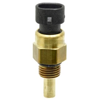 GRANIT Temperatursensor Motor