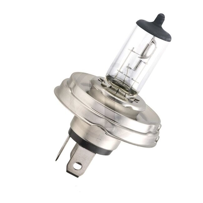 Philips Halogeenlamp R2 Visio 12 V, 45 / 40 W, sokkel P45t-41, helder | 12475B1, 170681