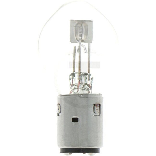 HELLA Gloeilamp S2 12 volt / 45/40W - 4558GD 002084151, 8GD002084151 | Spanning: 12 V | Vermogen: 45 / 40 Watt | Sokkel: BA20d