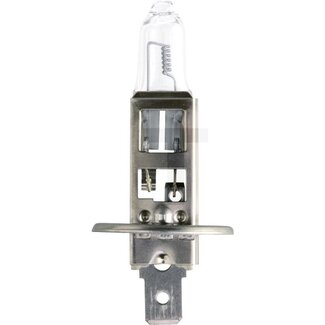 Philips Halogeenlamp H1 MasterDuty dimlicht 24 V, 70 W, sokkel P14,5s