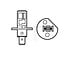 Philips Halogen bulb H1 MasterDuty dipped beam 24 V, 70 W, base P14,5s | 13258MDB1