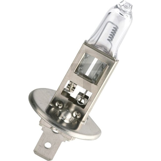 Philips Halogenleuchtmittel H1 24 V, 70 W, Sockel P14,5s, MasterLife | 13258MLC1