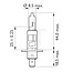Philips Halogenleuchtmittel H1 24 V, 70 W, Sockel P14,5s, MasterLife | 13258MLC1
