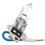 Philips Halogen bulb H3 24V / 70W - Voltage: 24 V, Power: 70 watts, Socket: PK22s - 52038819, 50206042, 28304910, 50154338, 50142558, 16023410, 13336MDB1