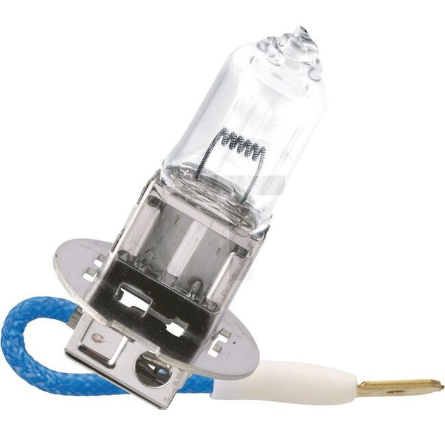 Philips Halogen bulb H3 24 V, 70 W, base PK22s, MasterLife | 13336MLC1