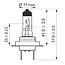 Philips Halogen bulb H7 24 V, 70 W, MasterDuty BlueVision - 2 pieces | 13972MDBVS2