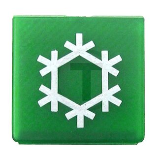 HELLA Symbol Klimaanlage grün