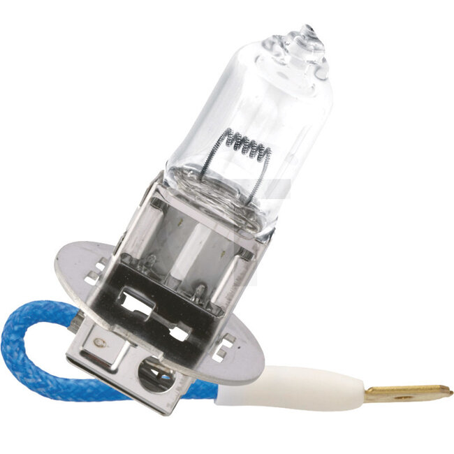 Philips Halogen bulb H3 24 V, 70 W, base PK22s, MasterDuty | 13336MDC1