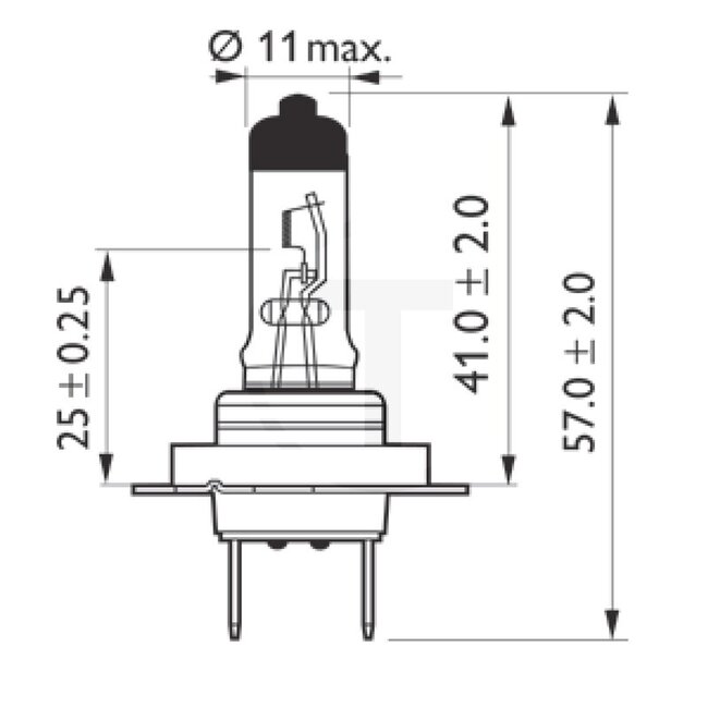 Philips Halogenleuchtmittel H7 MasterDuty 24 V, 70 W, Sockel PX26d | 13972MDB1
