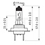 Philips Halogenlampe H7 - Spannung: 24 V, Leistung: 70 Watt, Sockel: PX26d - 13972MDB1