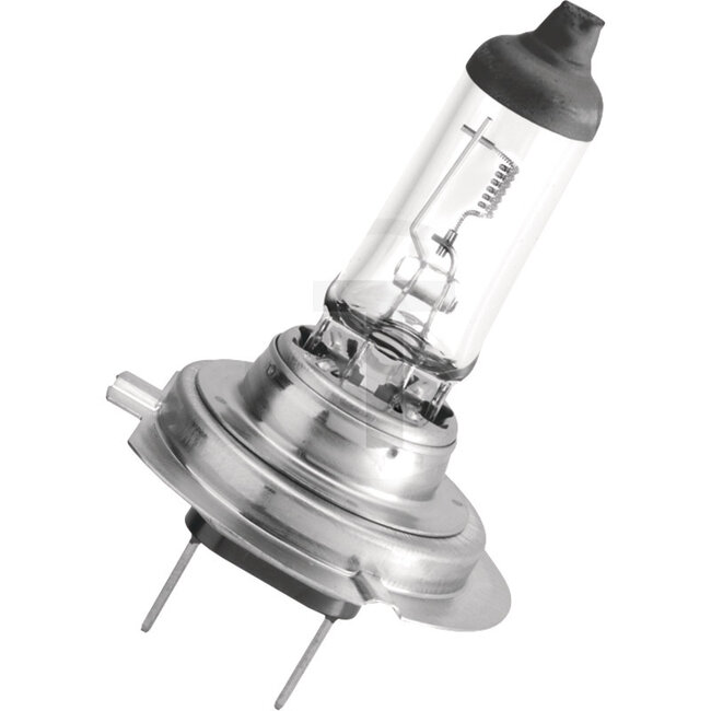 Philips Halogenleuchtmittel H7 MasterDuty 24 V, 70 W, Sockel PX26d | 13972MDB1