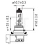 Philips Halogenlampe H11 - Spannung: 24 V, Leistung: 70 Watt, Sockel: PGJ19-2 - 24362MLC1