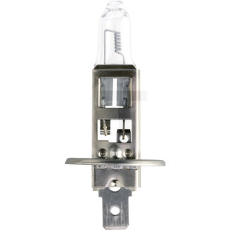 Philips Halogen bulb H1 MasterDuty 24 V, 70 W, base P14,5s